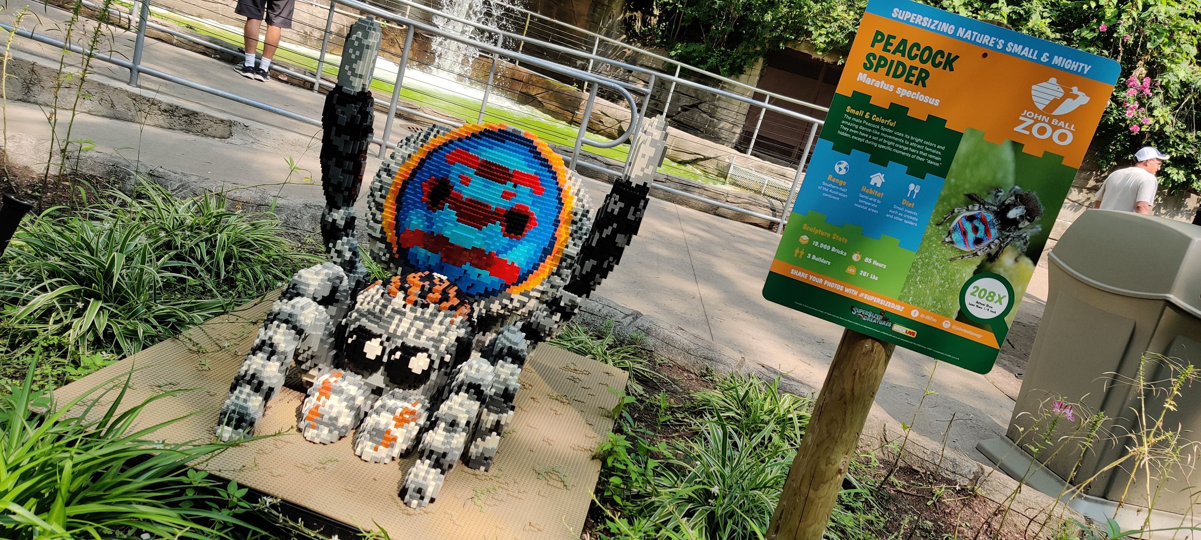 An adorable peacock spider made from LEGO