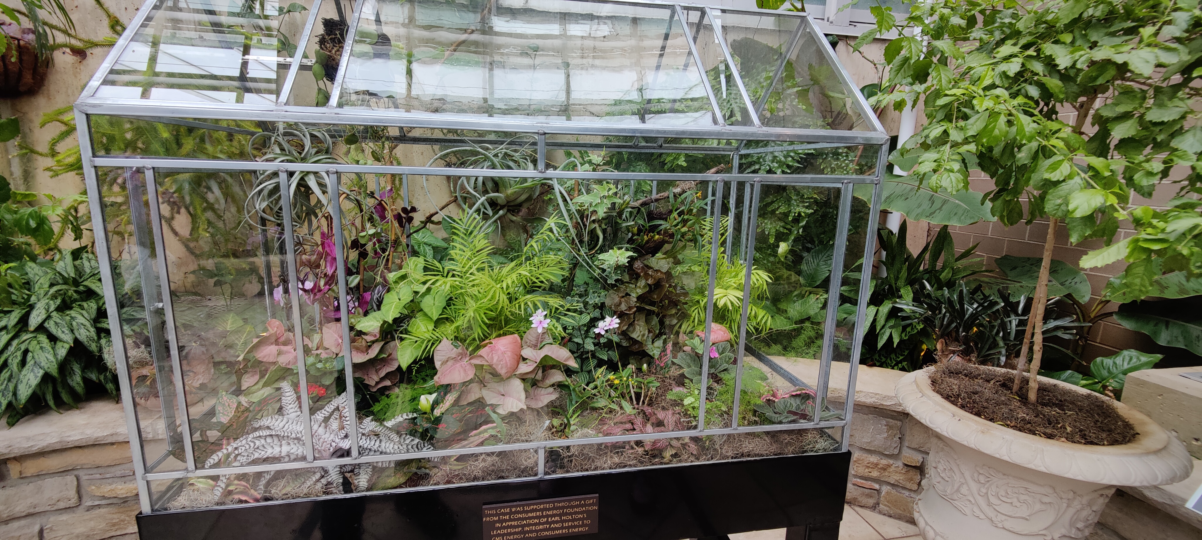 A sealed terrarium.